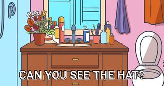 Test: Find the Hidden Objects in These 15 Pictures