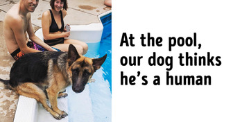 19 Photos That Prove Pets Are Becoming More and More Like Their Owners Every Day