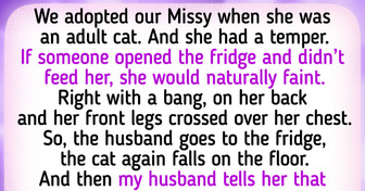 17 Stories About Pets Who Mastered the Art of Mind Games