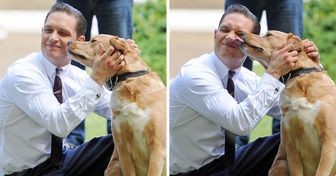 14 Legendary Photos Proving Tom Hardy’s Love for Dogs Is Better Than Your Fairytale Romance