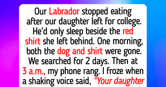 12 Acts of Kindness That Teach Us Animal Shelter Dogs Rescue Every Heavy Heart Right Back