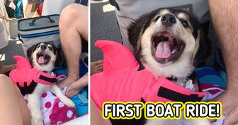 15 Pets Who Have Zero Idea How Adorable They Are