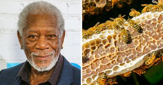Morgan Freeman Turns His 124-Acre Ranch Into a Bee Sanctuary to Save the Planet