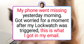 19 Photos That Prove Pets Are Just Fuzzy Comedians in Disguise