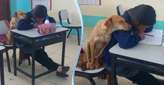 “The Sweetest Thing You’ll See Today,” a Dog Snuggles Up to Girl Taking Notes in Class