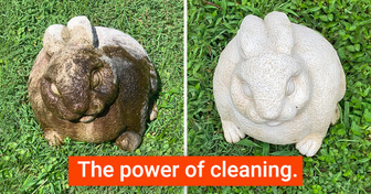 10+ Pics That Prove Cleaning Results Can Be Unexpected