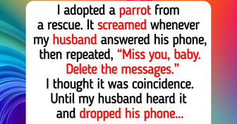 16 Animal Shelter Stories That Remind Us Every Life Still Carries Kindness, Compassion, and Love