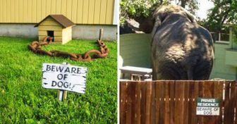 15+ Funny “Beware of the Dog” Signs and the Very Dangerous Dogs Behind Them