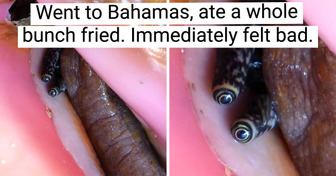 19 People Whose Life Will Never Be the Same After Their Vacation