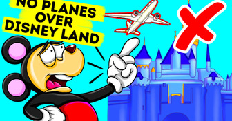 Why Planes Can’t Fly Over Disneyland
