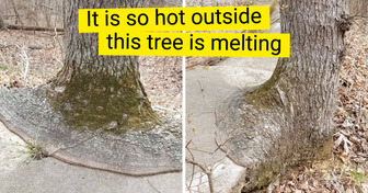 15+ Pics Showing Nature Has a Funny Side