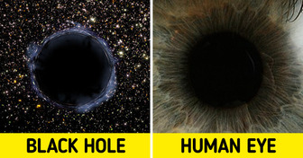 There’s a Whole Universe Hidden Inside Your Body, and Here Are 20+ Photos to Prove It