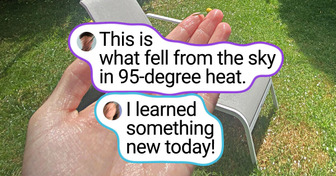 19 Snapshots That Expose the Other Side of Summer (July 24, 2025)