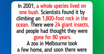 12 Endangered Animals That Came Back, Like a Parrot With 90 Chicks in One Season