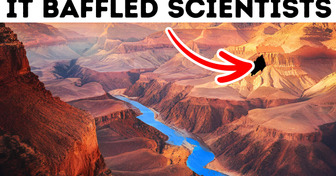 A Billion Years Disappeared: What Happened in the Grand Canyon?