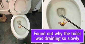 20 Times People Saw Unexpected Things That Gave Them a Good Laugh