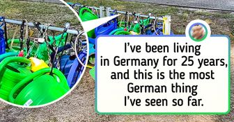 15+ Photos of German Life That’ll Leave You Either Jealous or Dumbfounded
