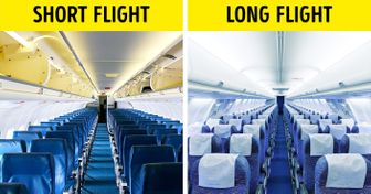 Why Airplane Seats Are Almost Always Blue