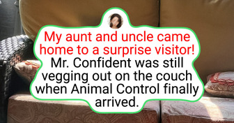 20+ People Who Had a Hilarious Encounter With Wild Nature