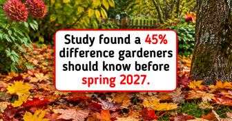Gardening expert explains why fallen leaves belong in your home wildflower garden this fall season 2026