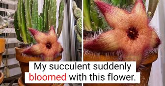23 People Who Saw Something That Triggered Their Wow-Impulse