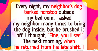 My Neighbor Refused to Bring His Dog Inside, He Wasn’t Ready for My Payback