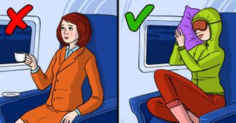 Pilots Revealed 16 Nuances That Will Help You Become an Expert in Air Travel