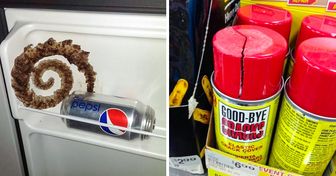 10+ Real Coincidences That Look So Insane You’d Think They Were Staged