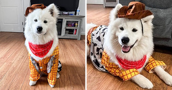11 Affordable and Hilarious Pet Costumes to Get You Into the Halloween Mood