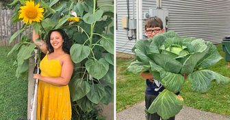 25 Times a Green Thumb Took Their Gardening Project a Bit Too Far