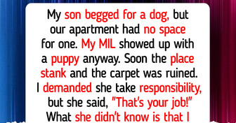 My MIL Ignored Our Rule and Bought My Son a Puppy, She Wasn’t Ready for My Surprise