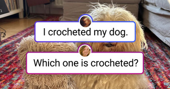 26 Crochet Masters Who Turn Yarn Into Miracles