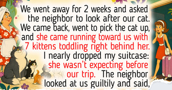 15+ Travel Stories That Teach Us Getting Home Is Always an Adventure of Its Own