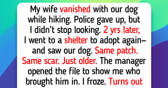 12 Cats and Dogs Who Brought Happiness: a Border Collie’s Animal Shelter Reunion, a Stray’s Dollar General Unicorn, and a Golden Retriever Who Eased a Child’s Solitude