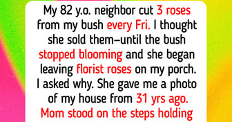 12 Home Garden Stories About a Dahlia Hobby That Connected Two Strangers, an Aphid Infestation That Ended Years of Silence, and a Rose Route Kept Alive for Decades