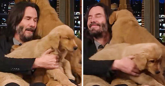 Keanu Reeves Gets to Cuddle a Bunch of Puppies, and His Reaction Is Priceless