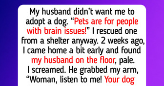 11 Animal Rescue Experiences About How Kindness, Humane Societies and Pet Adoption Can Help Cats and Dogs Find Happy Parents