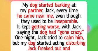 Top 11 Pets Who Proved Kindness Successfully Can Save a Broken Soul
