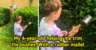 20+ Pics to Prove That Life With a Family Is Truly Unpredictable