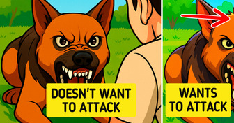 12 Simple Hacks That Could Actually Save Your Life One Day