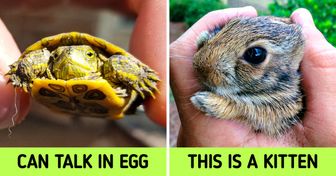 20 Baby Animal Facts That Make Us Want to Thank Mother Earth for All the Smiles