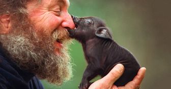14 heart-warming photos of our love for animals