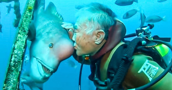A Man and a Lovely Fish Became Besties for Nearly 30 Years After He Helped It Get Back to Life