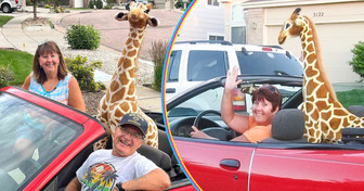 A Couple Drives Around With a Stuffed Giraffe in Their Car; Here’s Why They Are Doing It