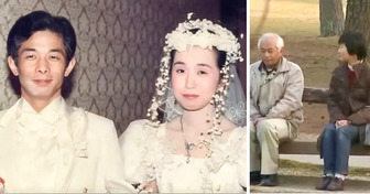 Japanese Couple Didn’t Speak a Word to Each Other for 20 YEARS, and the Reason Is Shocking