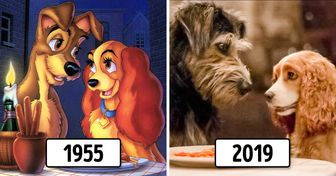Rescue Dog From a Kill Shelter Stars in the New Lady and the Tramp Movie and Encourages People to Adopt Not Shop