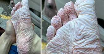 16 People Who Convinced Us That Man Is the Most Unique Creature in the Universe