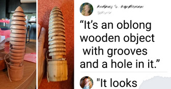 15+ People Who Found Bizarre Things and Realized They Needed to Call in Experts