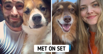 18 Rescued Pets That Started to Live Happier Thanks to Celebrities