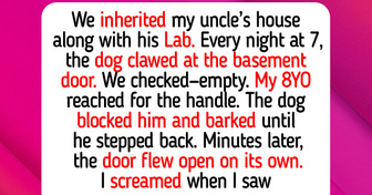 12 Stories of Animals Showing Love and Empathy Beyond Boundaries